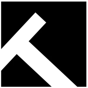 Theking Icon